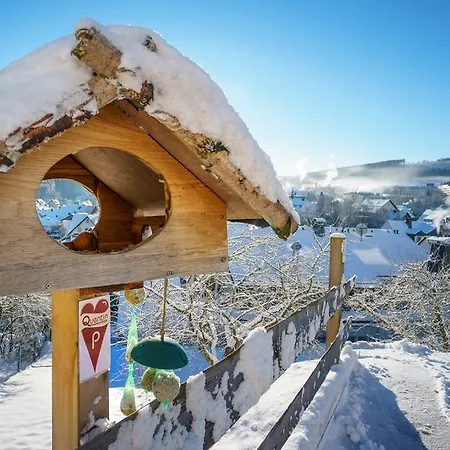 Gæstehus Haus Quentin Willingen (Upland)