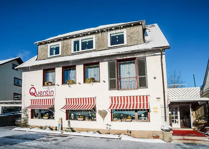 Pensionat Haus Quentin Willingen (Upland)