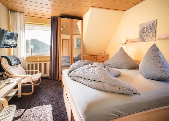 Guest house Haus Quentin Willingen (Upland)